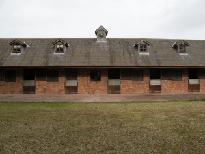 Stables